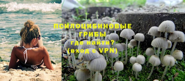 прущая мука Белокуриха