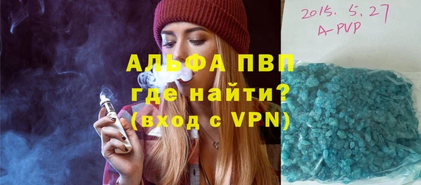 сатива Сосновый Бор