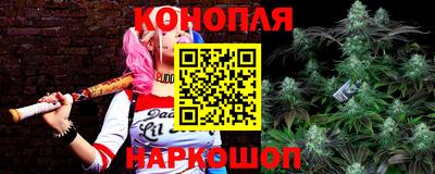 ALPHA PVP Кунгур