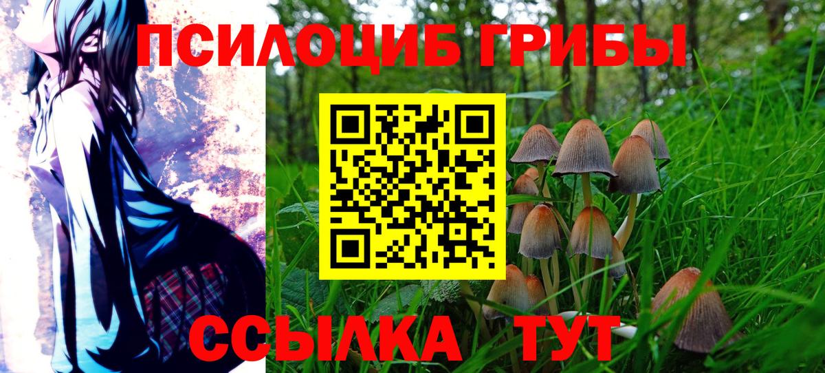 Волжск  цены наркотик  Вход с VPN  Псилоцибиновые грибы Cubensis  Псилоцибиновые грибы GOLDEN TEACHER 